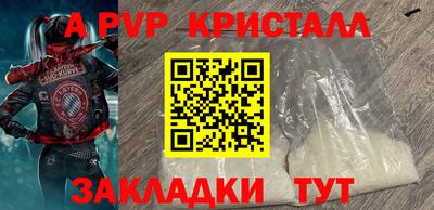 прущие грибы Ставрополь