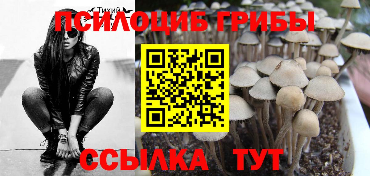 Галлюциногенные грибы Cubensis  Вход с VPN  Похвистнево  Псилоцибиновые грибы Psilocybe 