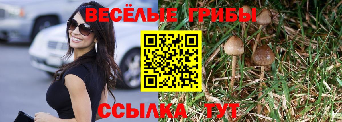 Псилоцибиновые грибы Psilocybe Похвистнево